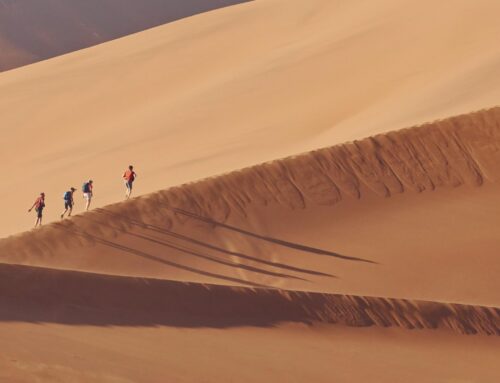 THE UNUSUAL BUSY OFF-PEAK TOURISM SEASON IN NAMIBIA