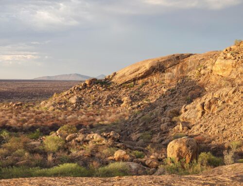 ONDUDU: ROCK ART, LANDSCAPES AND LIFE